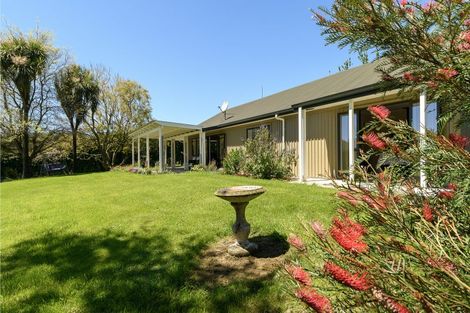 Photo of property in 9d Mcquade Road, Whakamarama, Tauranga, 3179