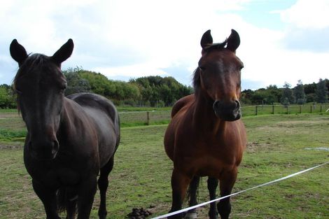 Photo of property in 242 Oreti Road, Otatara, Invercargill, 9879