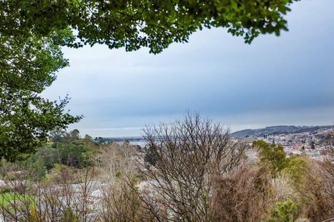 Photo of property in 89 Buccleugh Street, North East Valley, Dunedin, 9010