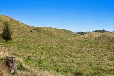 Photo of property in 31 Tarver Lane, Pikowai, Whakatane, 3194