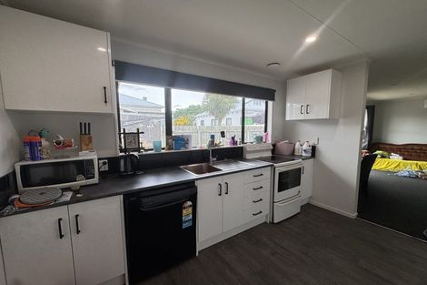 Photo of property in 9a Limbrick Street, Terrace End, Palmerston North, 4410