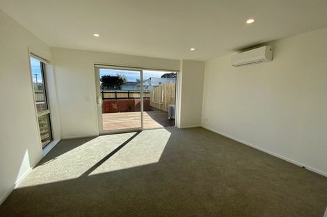 Photo of property in 1/2 Hammond Place, Spreydon, Christchurch, 8024
