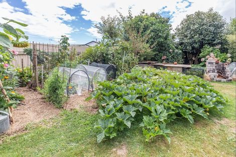 Photo of property in 21 Martin Harvey Street, Levin, 5510