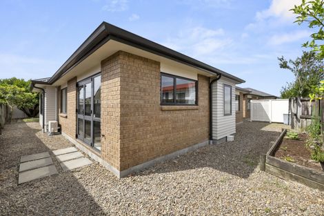 Photo of property in 124a Clarkin Road, Fairfield, Hamilton, 3214