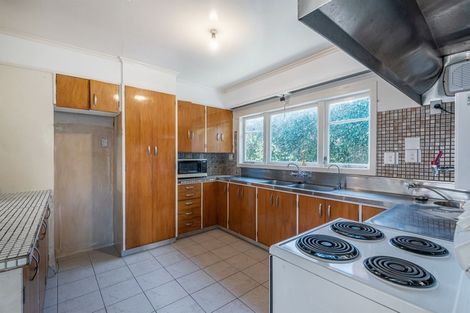 Photo of property in 17 Brewster Avenue, Morningside, Auckland, 1022
