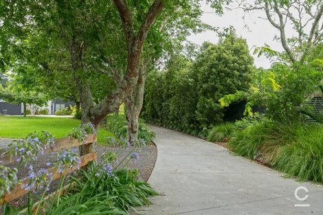 Photo of property in 21c Poripori Road, Lower Kaimai, Tauranga, 3171