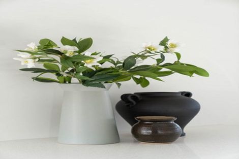 Photo of property in 3 Ada Way, Gate Pa, 3112