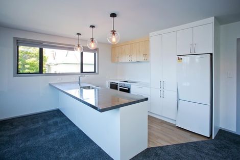 Photo of property in 76a Duncan Street, Dunedin Central, Dunedin, 9016