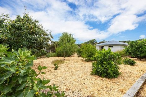 Photo of property in 67d Jack Boyd Drive, Mangawhai Heads, Kaiwaka, 0573