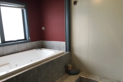 Photo of property in 17 Riveredge Terrace, Ohau, Levin, 5570