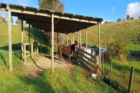 Photo of property in 238 Te Arai Point Road, Te Arai, Wellsford, 0975