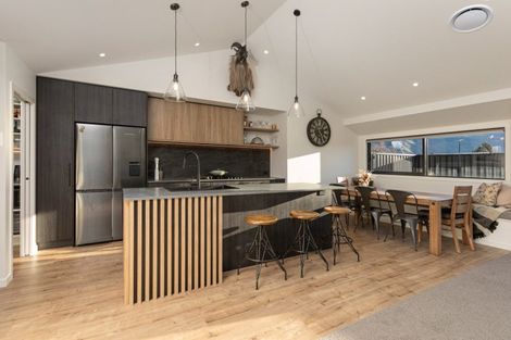 Photo of property in 41 Avalon Station Drive, Wanaka, 9305