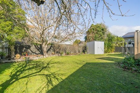 Photo of property in 34 Argyle Avenue, Takaro, Palmerston North, 4410