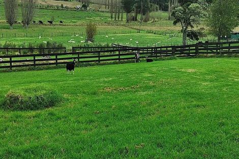 Photo of property in 28 Matakohe Road East, Matakohe, 0593