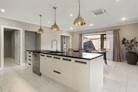 Photo of property in 20 Beaufort Place, Flagstaff, Hamilton, 3210