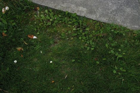 Photo of property in 7 Pencarrow Crescent, Wainuiomata, Lower Hutt, 5014