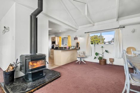 Photo of property in 20 Killarney Street, Alexandra, 9320