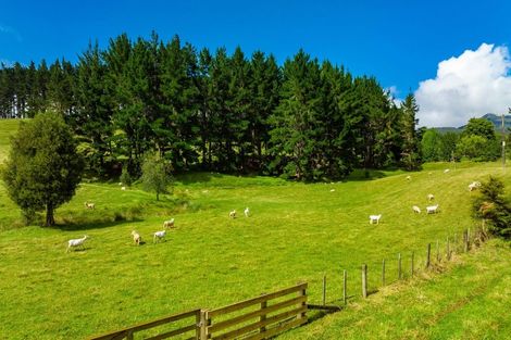 Photo of property in 1941 Tangowahine Valley Road, Tangowahine, Dargaville, 0372