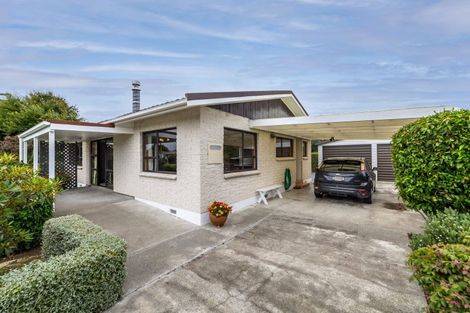 Photo of property in 103 Hillcrest Street, Solway, Masterton, 5810