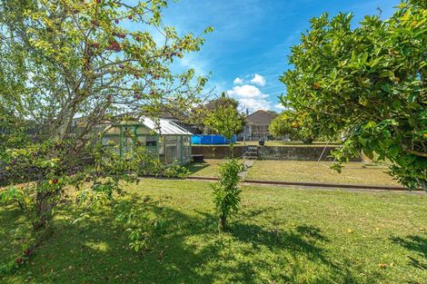 Photo of property in 41 Konini Street, Tawhero, Whanganui, 4501
