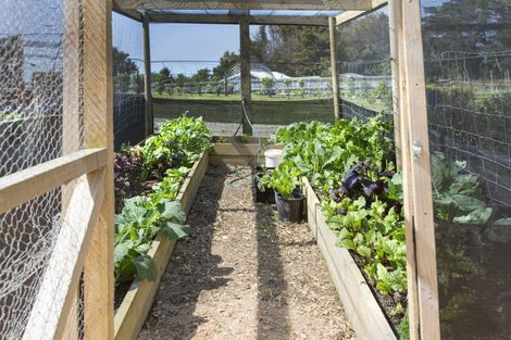 Photo of property in 70 Parore Street, Parore, Dargaville, 0372