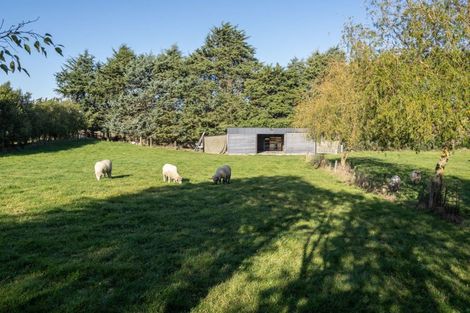 Photo of property in 208 Seafield Road, Elgin, Ashburton, 7772