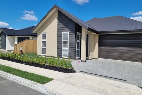 Photo of property in 5 Ayrshire Street, Appleby, Richmond, 7020