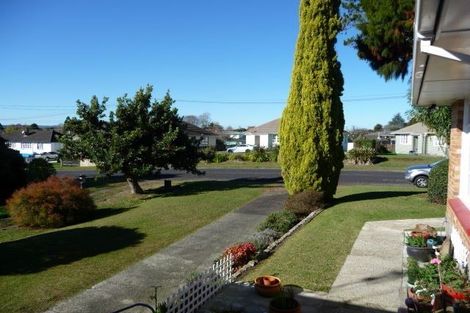 Photo of property in 16 Clothier Street, Putaruru, 3411