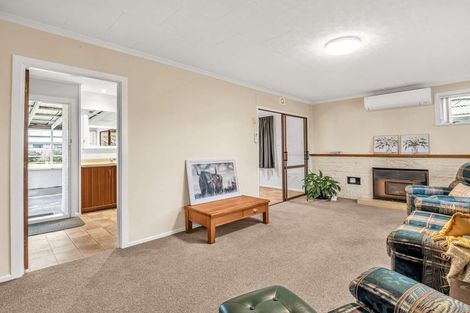 Photo of property in 17 Elizabeth Street, Feilding, 4702