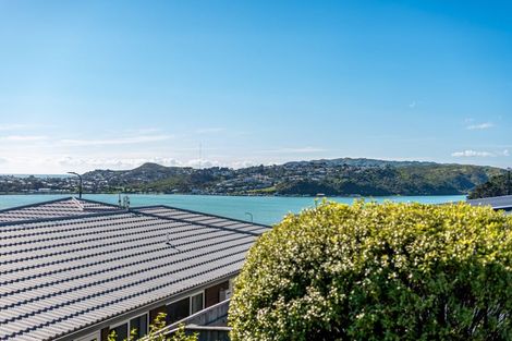 Photo of property in 41 John Burke Drive, Aotea, Porirua, 5024