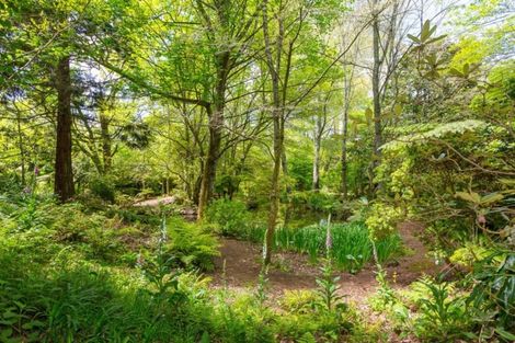 Photo of property in 157 Tikorangi Road East, Tikorangi, Waitara, 4383