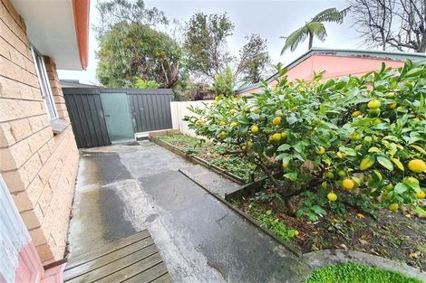 Photo of property in 34d Fitzroy Street, Terrace End, Palmerston North, 4410