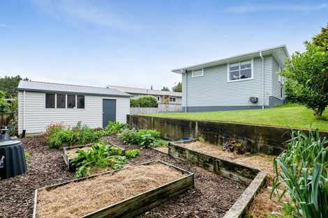 Photo of property in 46 Oranga Street, Marfell, New Plymouth, 4310