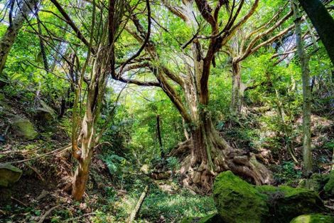 Photo of property in 33 Golf Harbour Drive, Maunu, Whangarei, 0179