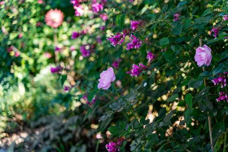 Photo of property in 15 Turiapua Lane, Parua Bay, Whangarei, 0174