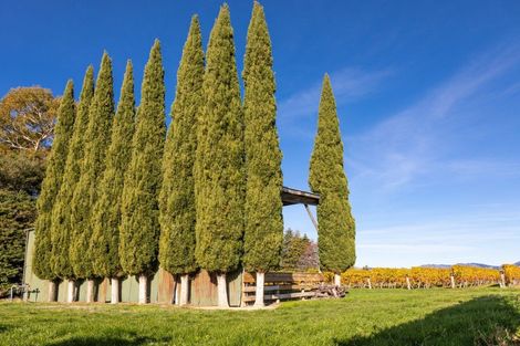 Photo of property in 322 Middle Renwick Road, Springlands, Blenheim, 7271