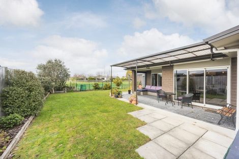 Photo of property in 18 Accolade Street, Maewa, Feilding, 4702