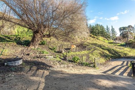 Photo of property in 219 Brunswick Road, Brunswick, Whanganui, 4571