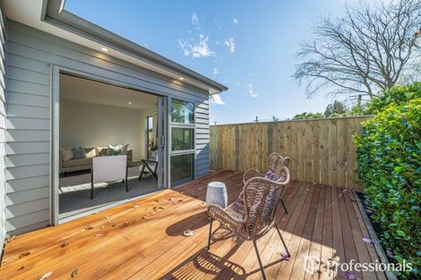 Photo of property in 9b Seddon Street, Waikanae, 5036