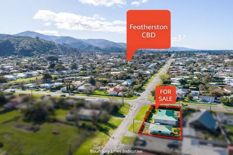Photo of property in 59 Daniell Street, Featherston, 5710