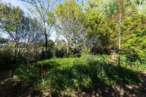 Photo of property in 55 Station Road, Paeroa, 3600