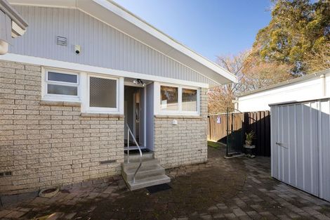 Photo of property in 21 Fitzroy Avenue, Fitzroy, Hamilton, 3206