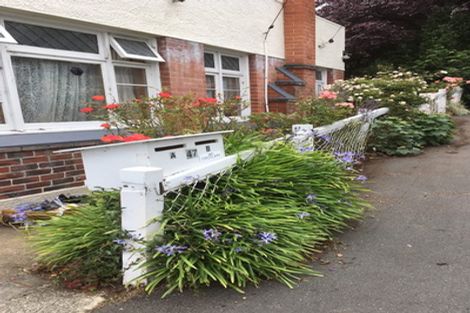 Photo of property in 47a Manor Place, Dunedin Central, Dunedin, 9016