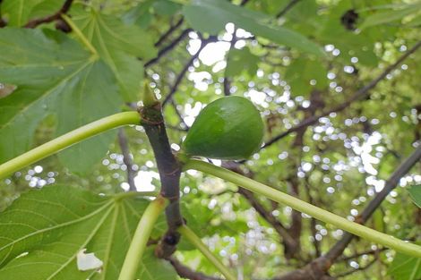Photo of property in 13 Tawhai Street, Stokes Valley, Lower Hutt, 5019