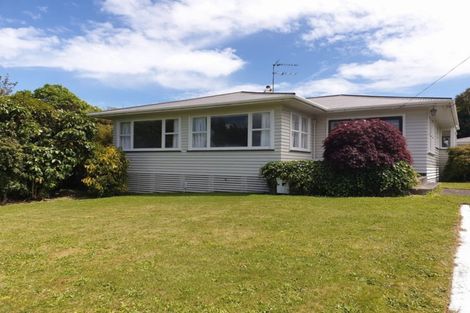 Photo of property in 21 Lysander Street, Stratford, 4332