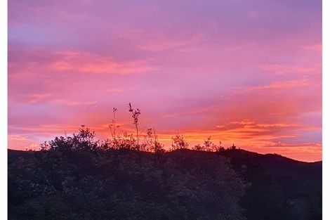 Photo of property in 19 Tui Grove, Paihia, 0200