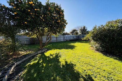 Photo of property in 5 Albert Street, Palmerston North, 4414