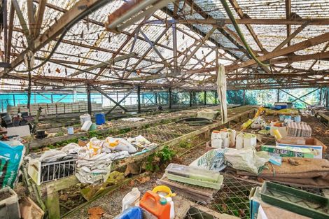 Photo of property in 664 State Highway 2, Tahawai, Katikati, 3170