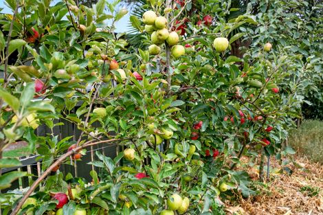 Photo of property in 82 Tawari Street, Matamata, 3400