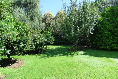 Photo of property in 19 Davis Strongman Place, Kerikeri, 0293
